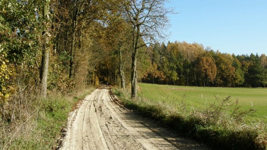 Trochę piachu, dało się bez większych problemów jechać