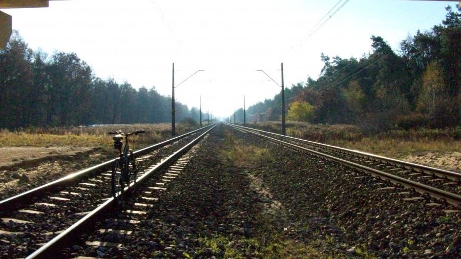 Pod obwodnicą