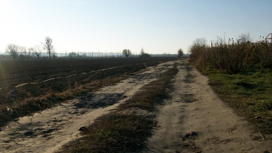 W drodze do nikąd