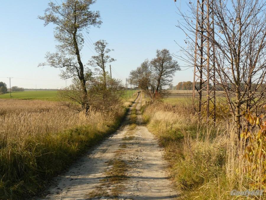 Zaciszne polne ścieżki.