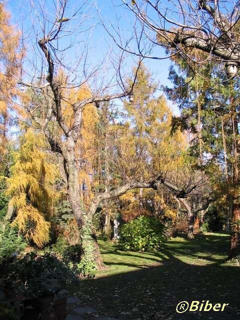 Parafialny Ogród Botaniczny w Bujakowie