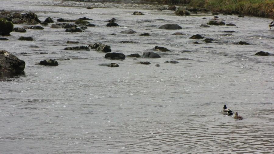 Yorkshire Dales National Park