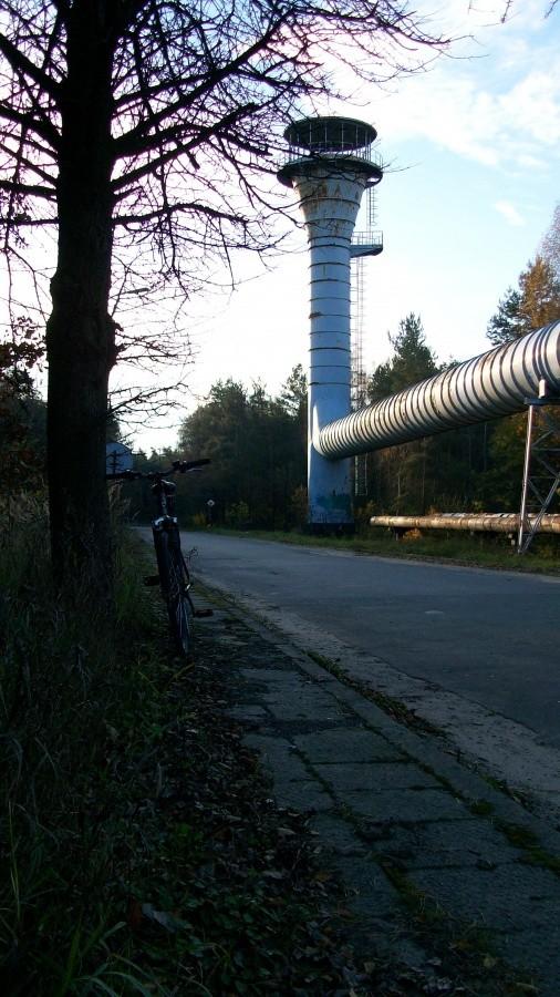 Wieża