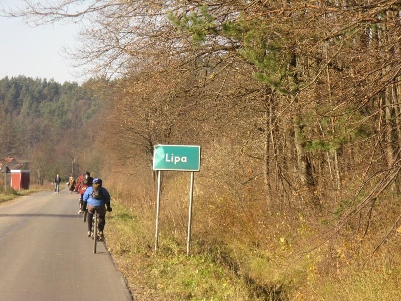 Trochę LIpa :D Fot. Włochaty.