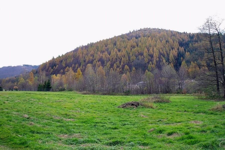 Już nie ma takich ładnych kolorów