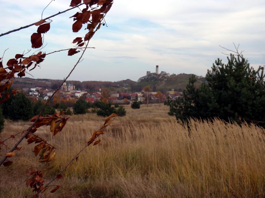 Widok na Olsztyn