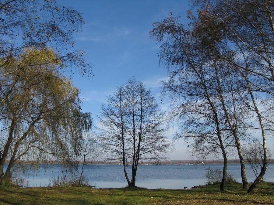 ogoria w błękicie