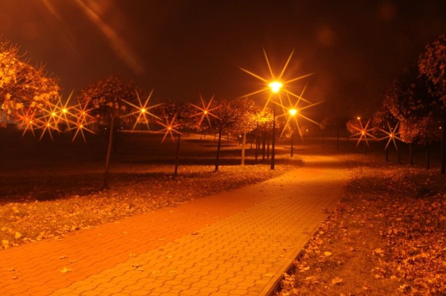 Środula Park - Sosnowiec