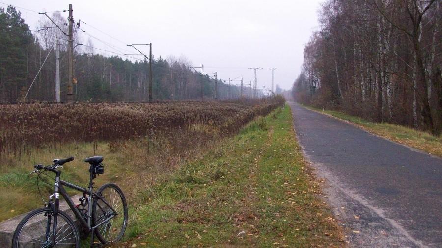 Prawie w Gołębiu