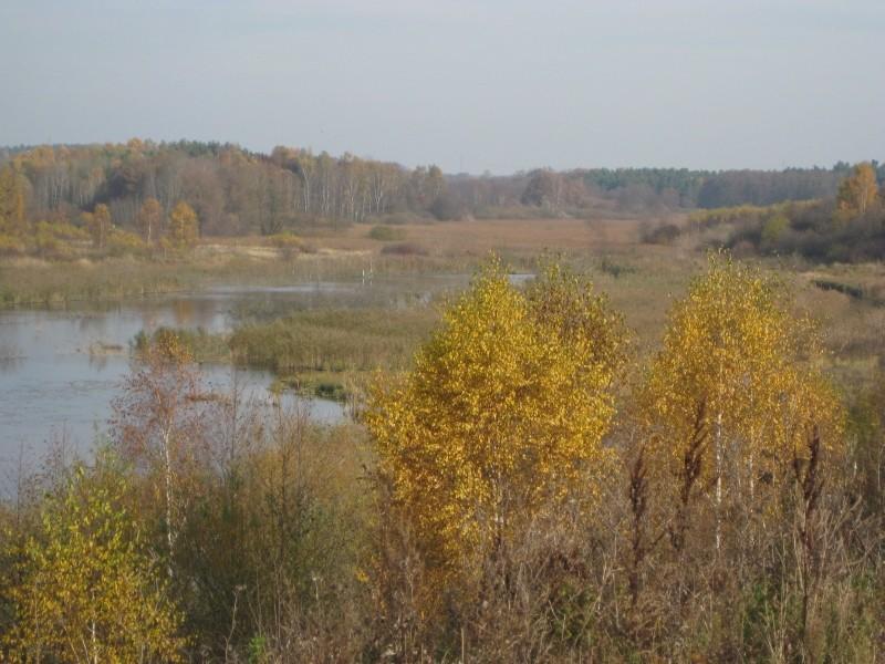Widok na rozlewisko rzeki Cybiny