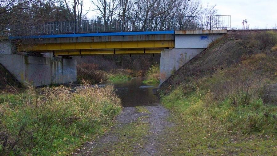 Nad kurówką