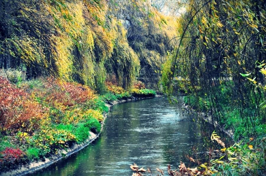 Park Sielecki (rzeka Czarna Przemsza)