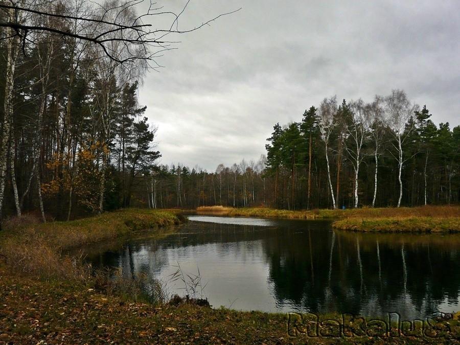Jesienny Pniowiec