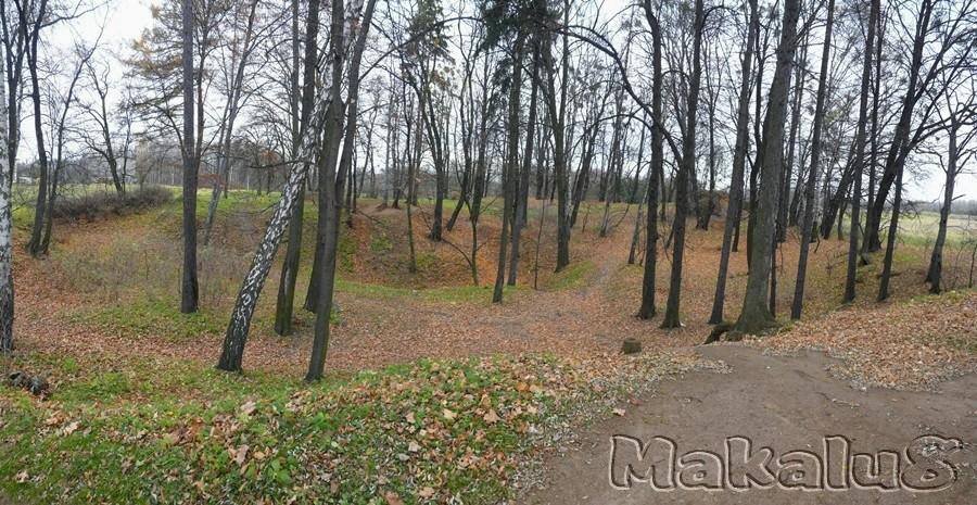 Miasteczko Śl. Teren dawnej kopalni żelaza
