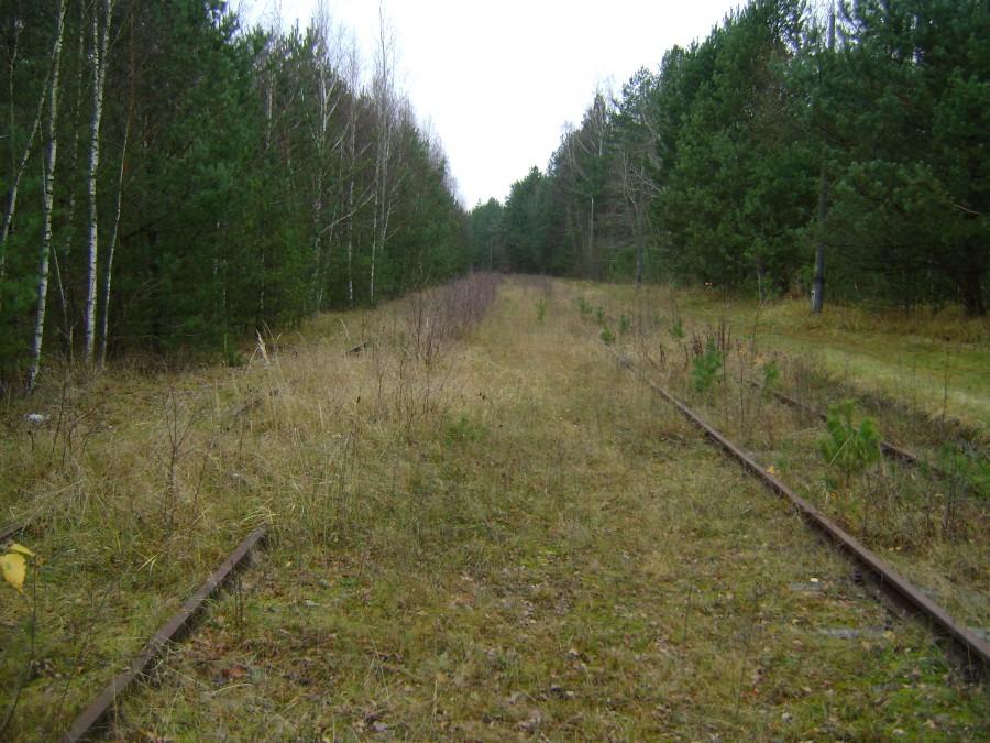 Zapomniane linie kolejowe-53 Tomaszów Maz-Spała,już w samej Spale