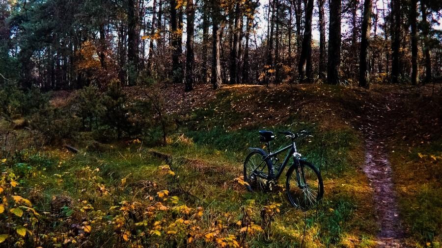 In da forest