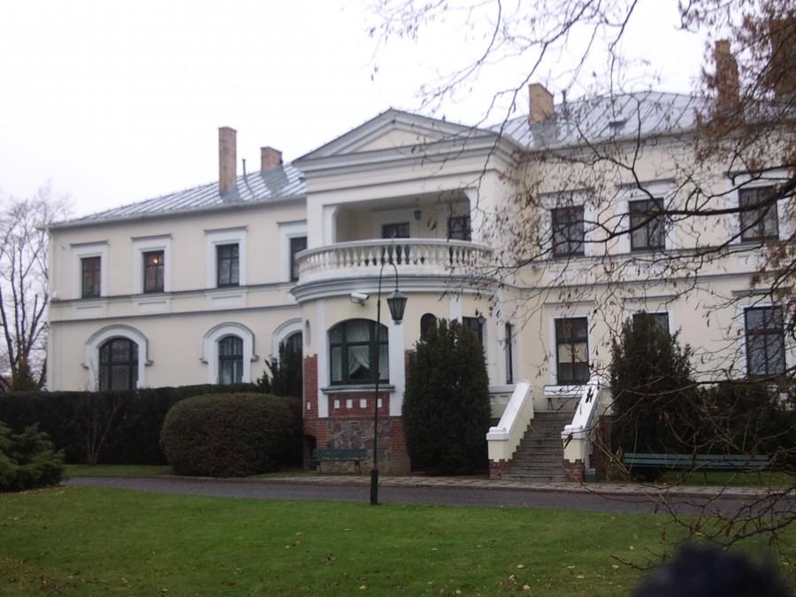 Pałacyk w Shrzynkach