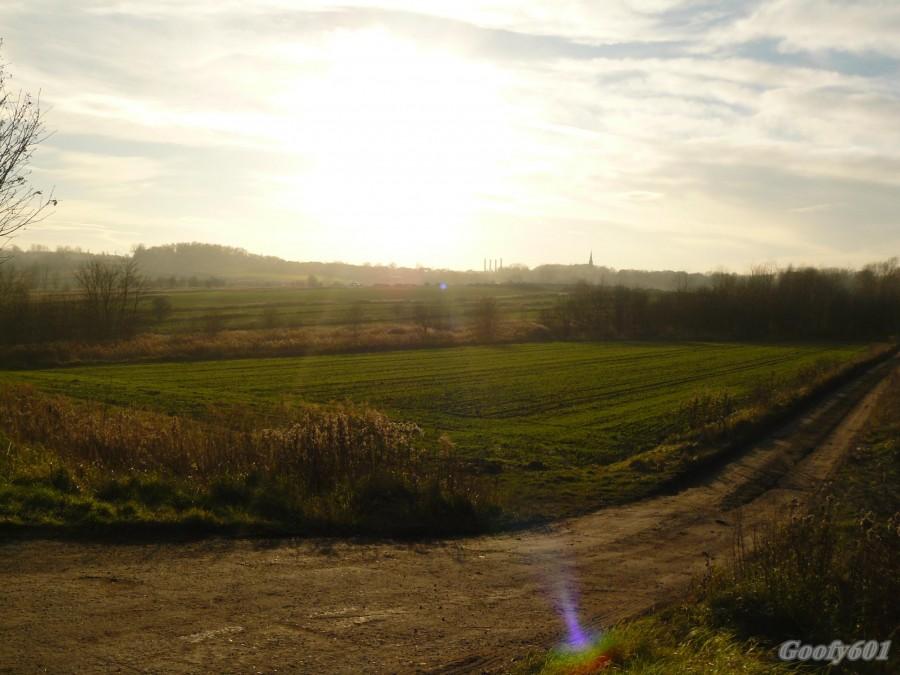 Słońce nad Miechowicami :)