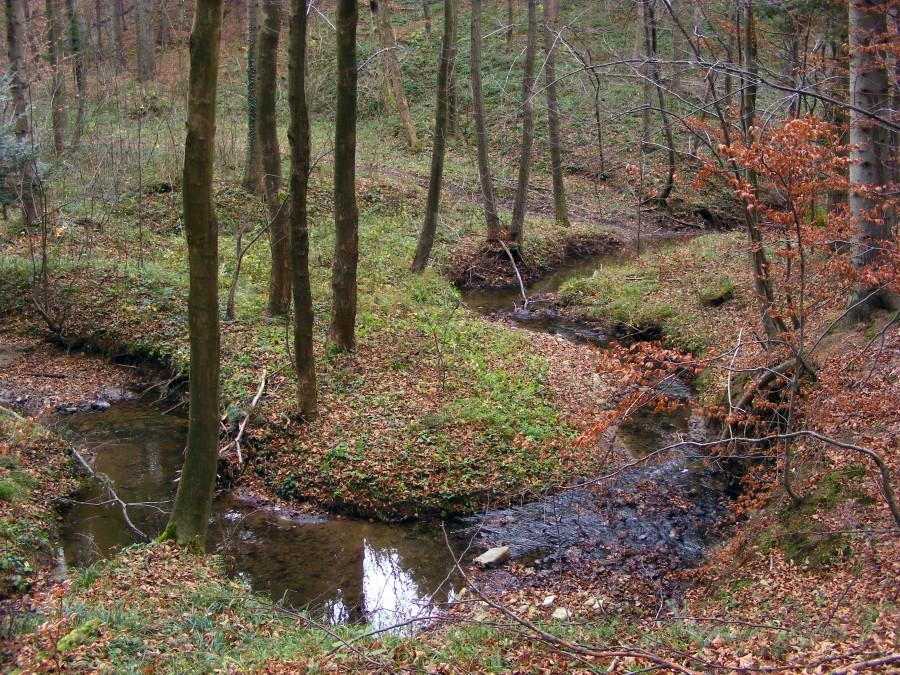 Meandrująca rzeczka