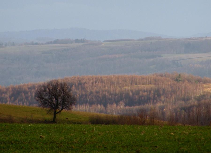 GDzieś na górkach- ogólnie niezła widoczność dzisiaj była
