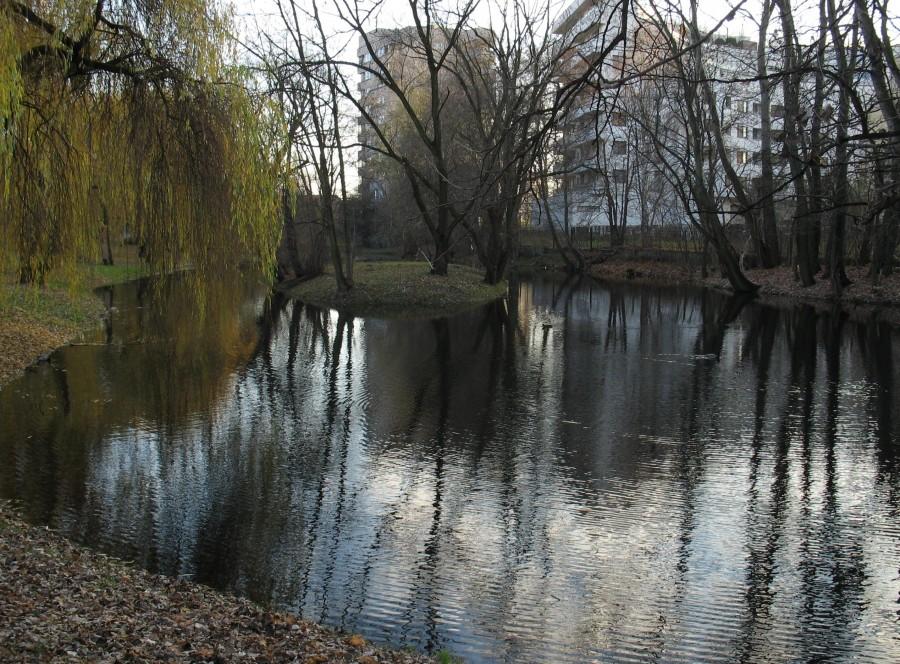 Wysepka na stawie sieleckim