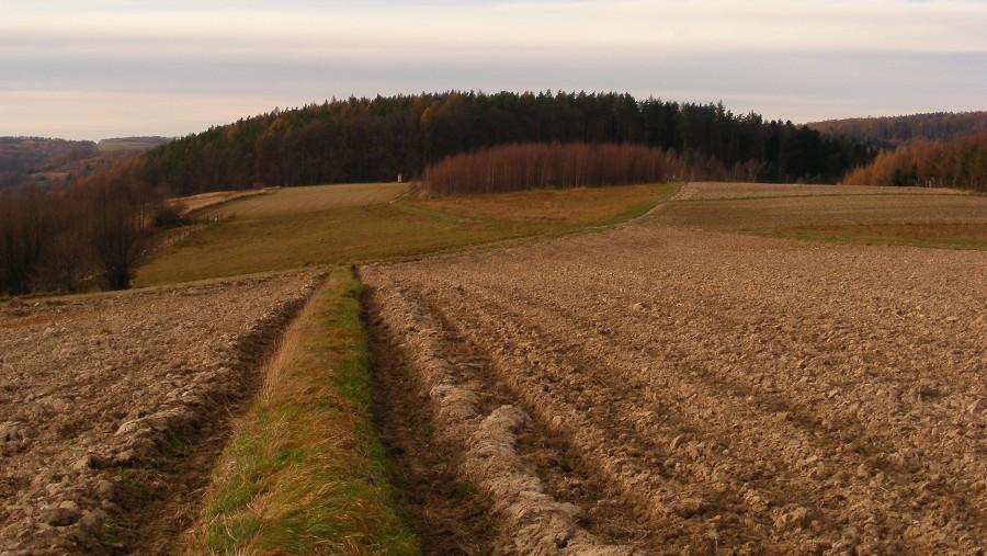 Gdzieś tu sobie jeździłem:)