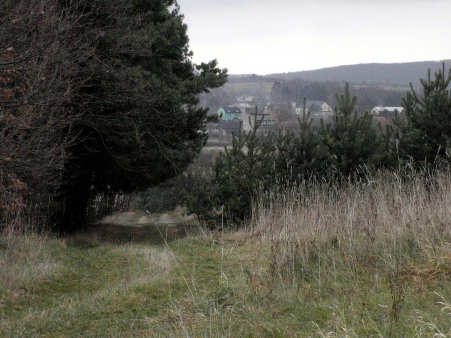 Widok na Olsztyn