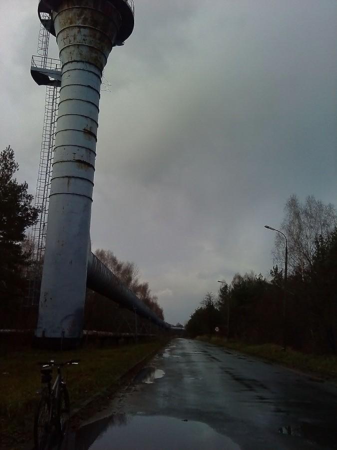 Wieża