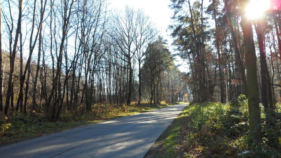 Betonówka