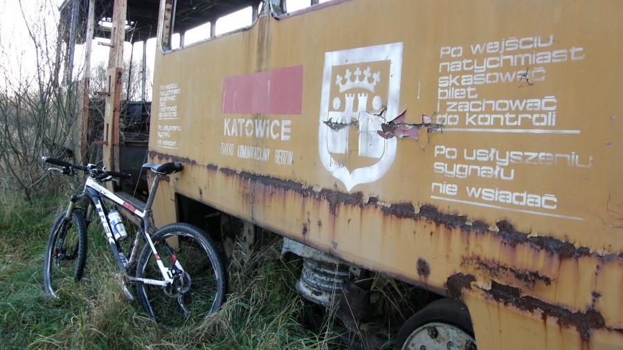 Z Katowic. Przyjechał ponad 300 km na własnych kołach ? :)