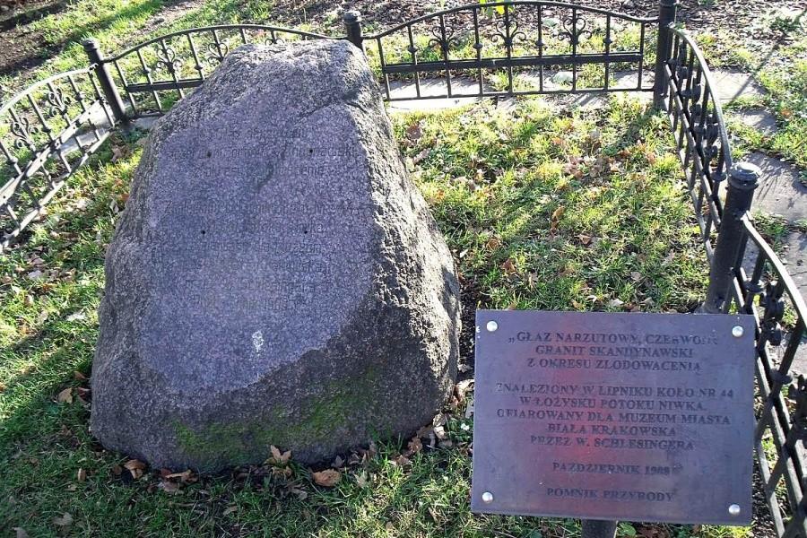 Ostaniec z epoki zlodowaceń