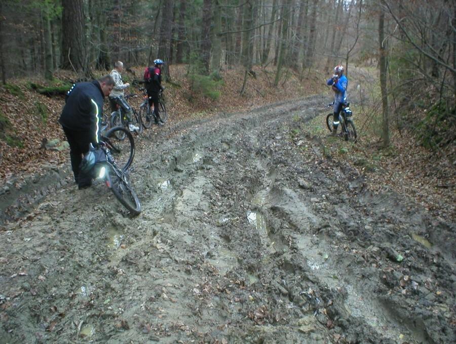 BŁOTKO NA CZERWONYM SZLAKU ,,KOPERNIKOWSKIM''