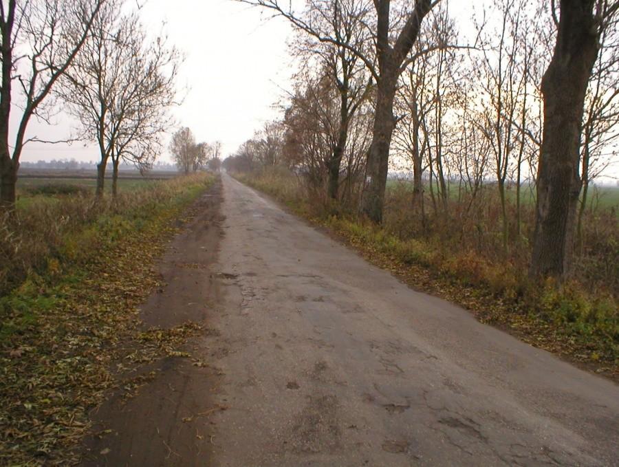 DROGA WIKTOROWO-JEGŁOWNIK