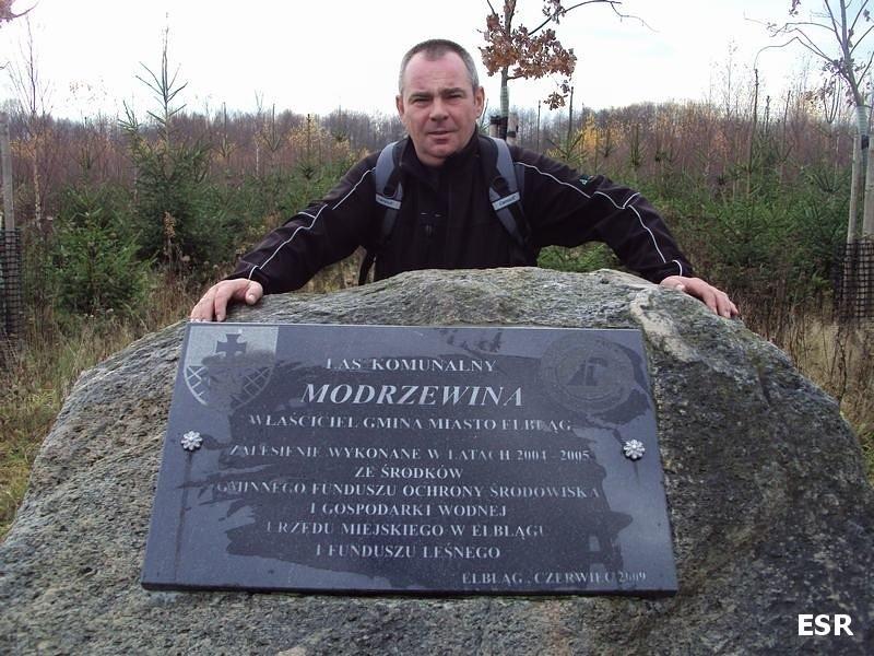 Las Komunalny Modrzewina