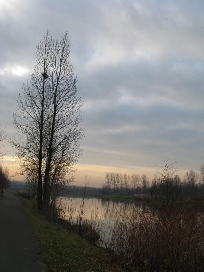 trzy stawy Katowice