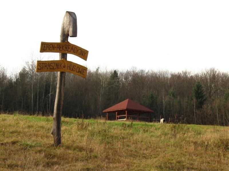 Las Strasznik w Husowie- idealne miesce na postój po 40 km.