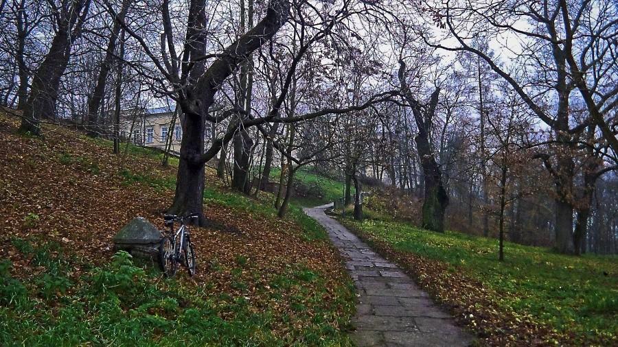 W parku
