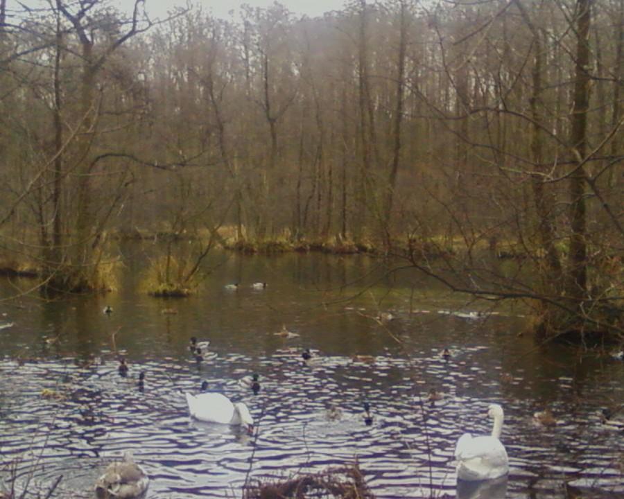 Na Niebieskich Źródłach