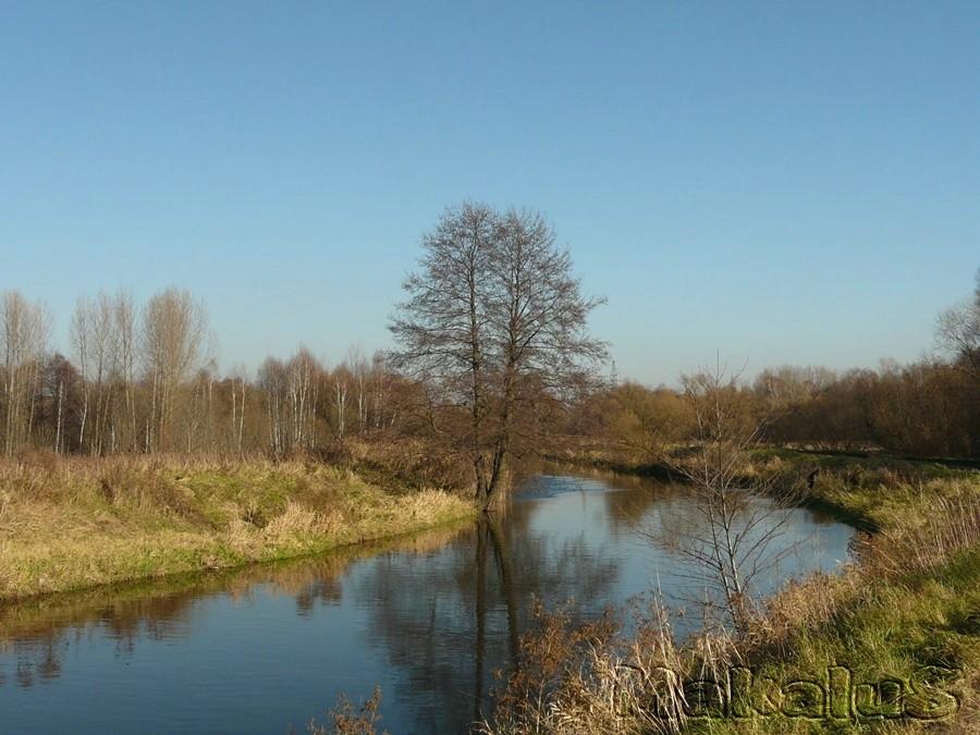 Czarna Przemsza