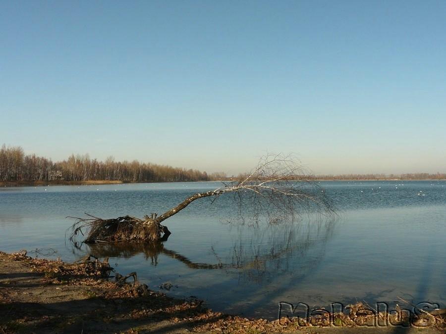 Jezioro Pogoria