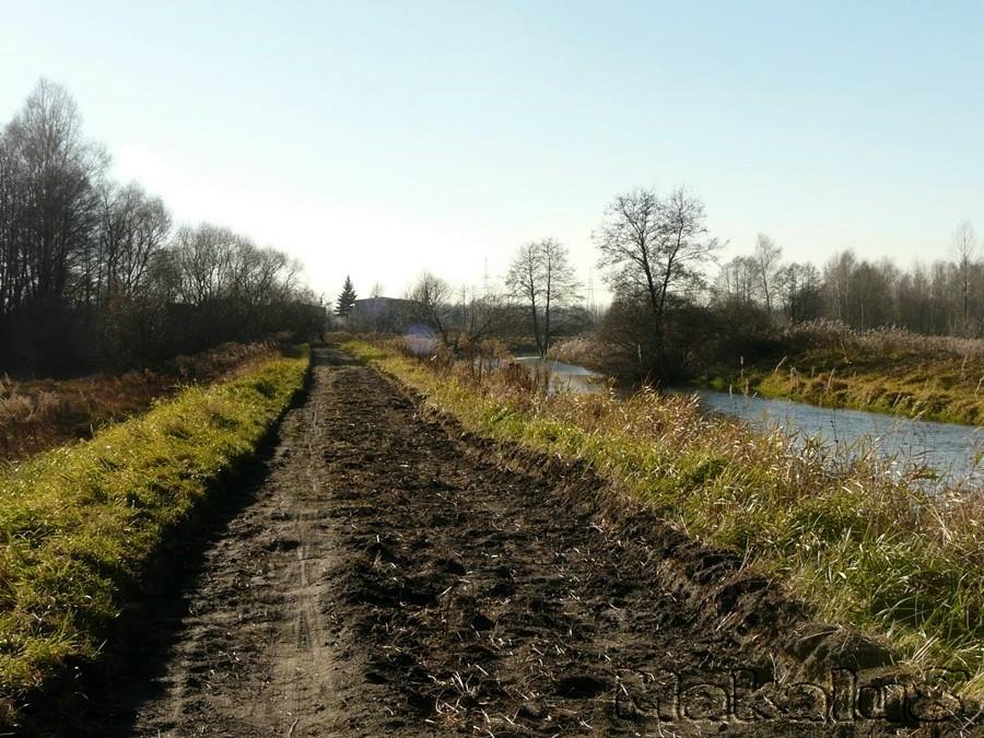 Nad Czarną Przemszą