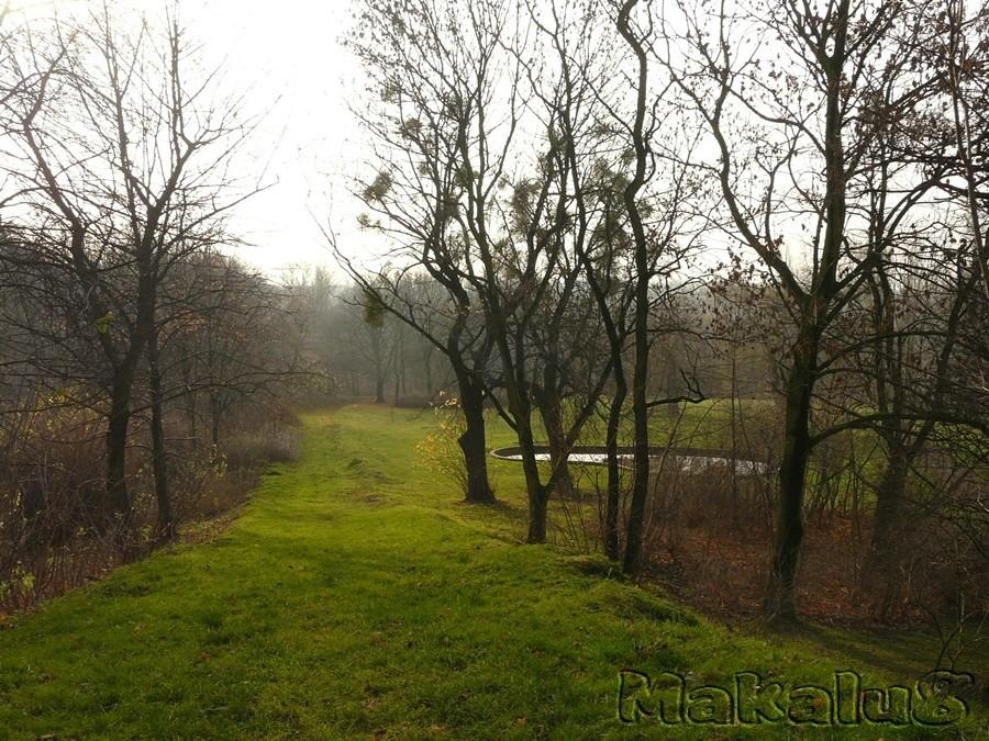 Bytom_ park Mickiewicza