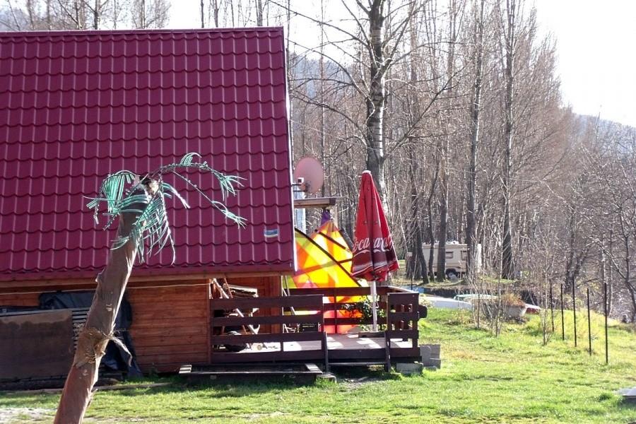 Pod palmą