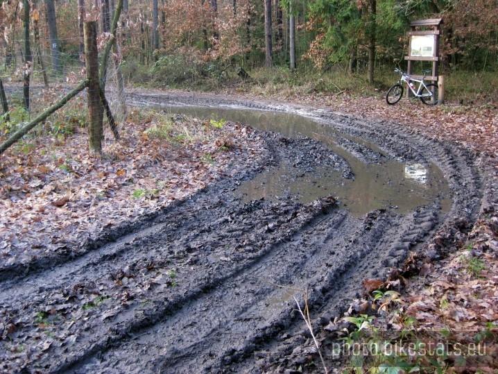 błotnista leśna droga