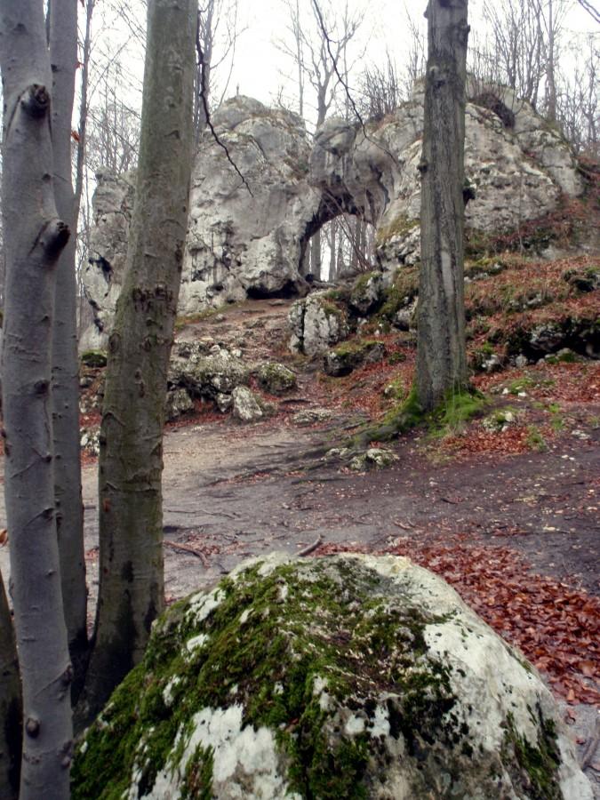 Brama Twardowskiego
