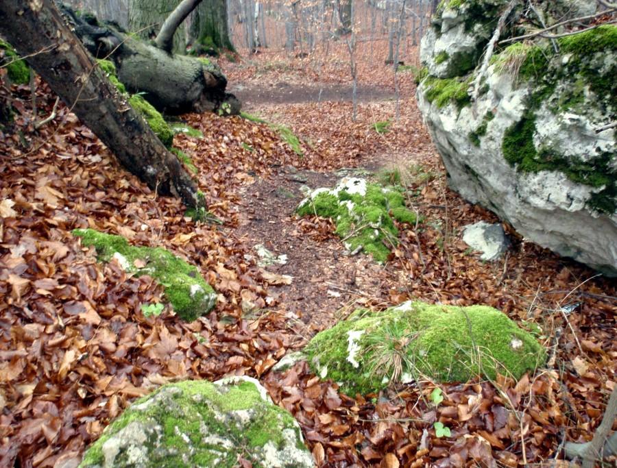 Ścieżka wśród skał