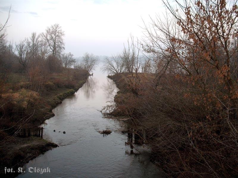 Jeziorka