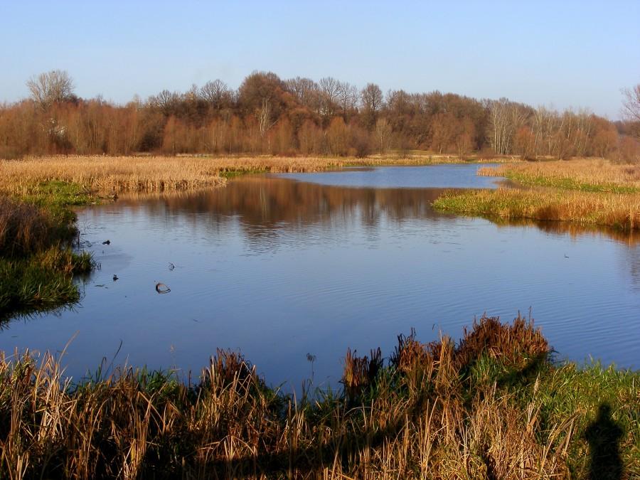 Rzeszowski zalew
