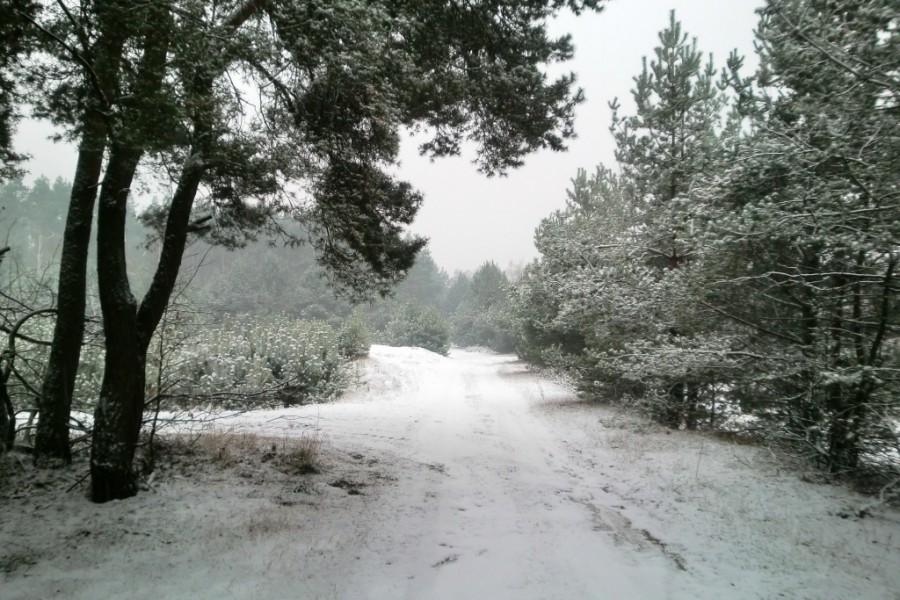 Pierwszy śnieg