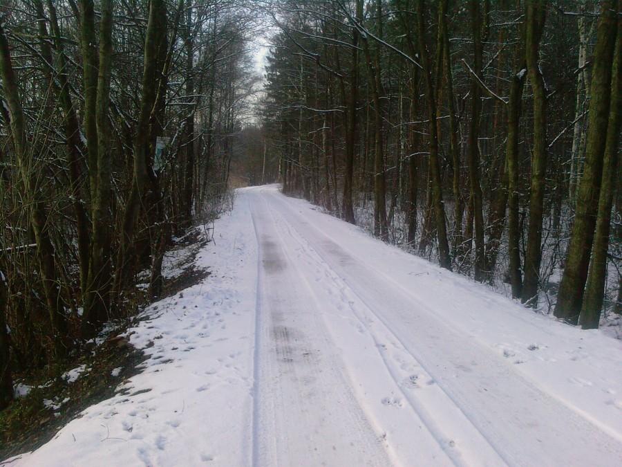 Pierwszy śnieg